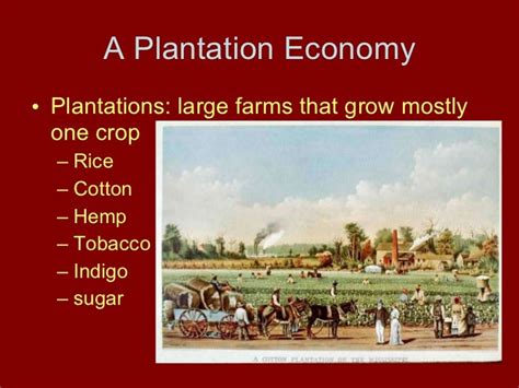The Plantation System In America