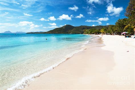 The beach is just 60 km from halifax. St Anne Tropical Beach Martinique Caribbean Photograph by ...