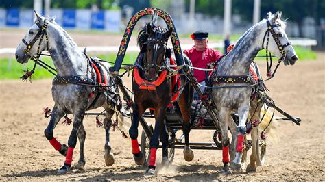 Kereta kuda yg ada di sekitar cbd bintaro. Troika, Kereta Kuda Khas Rusia - Russia Beyond