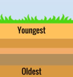 The dating of rocks by the radioactive decay of certain minerals is undoubtedly the main argument today for the dogma of an old earth. Earth - SCIENCE FINAL REVIEW 2018 BAUER