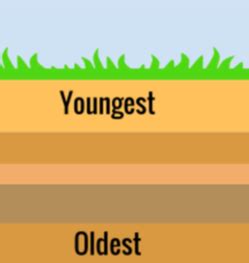 Relative dating compares fossils with the fossils of other plants and animals that are known to have lived in certain time periods. Earth - SCIENCE FINAL REVIEW 2018 BAUER