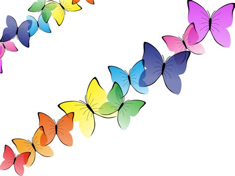 Beautiful Butterflies Backgrounds Animals Multi Color Templates