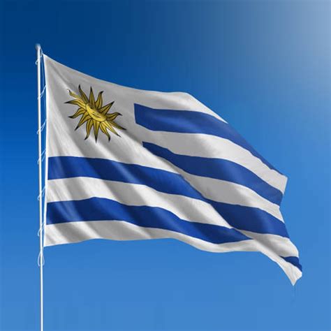 Bandera De Uruguay Selección Mundial Mvdsport 9900 En Mercado Libre