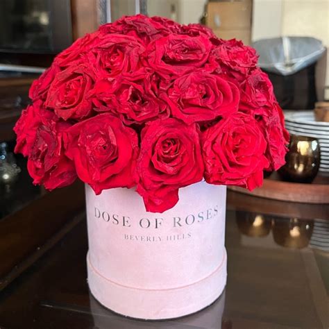 Dose Of Roses Design Dose Of Roses Beverly Hills Poshmark