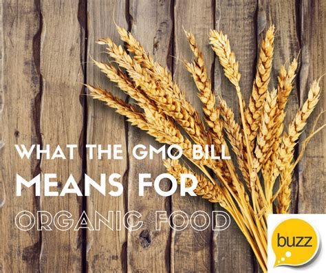 What Gmo Labeling Bill Means For Organic Industry Be Well Buzz