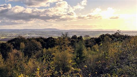 Autumn At Queenswood Country Park Herefordshire Travel Junkie Girl