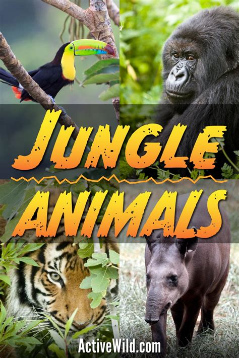 Jungle Animals List With Pictures And Facts Animals That Live In Jungles