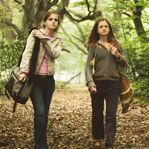 Hermione And Ginny Harry Potter Hermione Harry Potter Images Harry