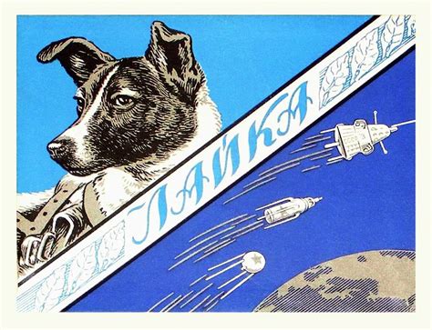 Laika Space Dog Commemorative Packaging Photograph By Detlev Van