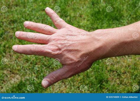 Men S Left Hand Stock Image Image Of People Beauty 53574009