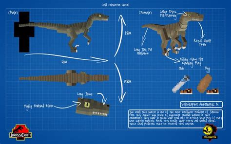 Jurassicraft Blueprint Velociraptor Wild By Jurassicraft D Rd Fz