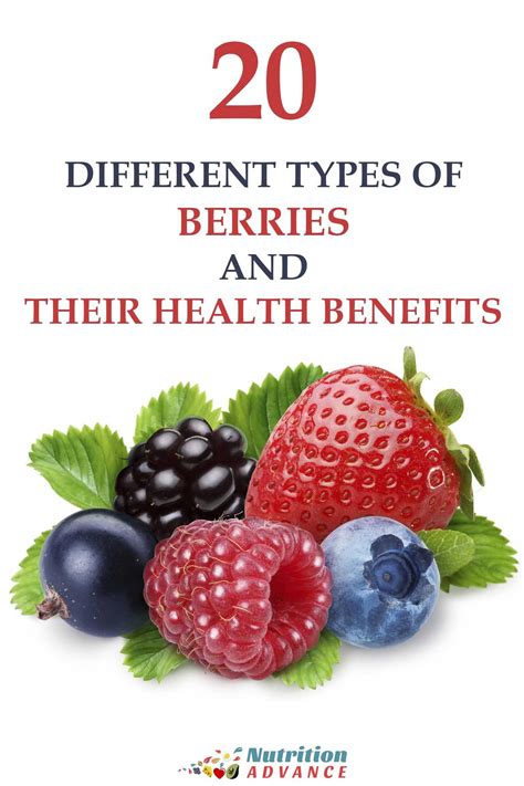 20 Types Of Berries And Their Health Benefits Calories Carbs