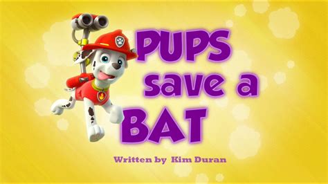 Pups Save A Bat Paw Patrol Wiki