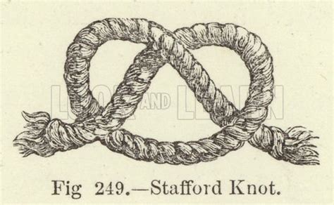 stafford knot stock image look and learn