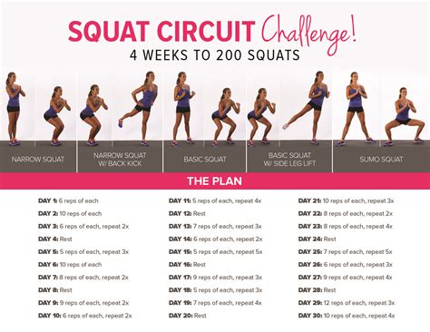 Squat Circuit Squat Challenge 30 Day Squat Challenge Fitness