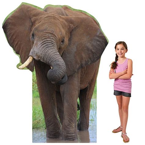 Buy 6 Ft African Elephant Safari Jungle Standee Standup Photo Booth