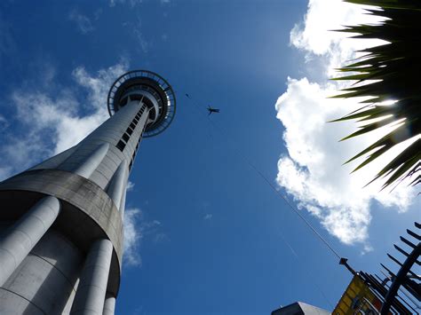Sky Tower Bungee Free Stock Photo Public Domain Pictures