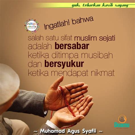 Doa menghadapi musibah sesuai sunnah penjelasan dan faedahnya. Ingatlah! bahwa salah satu sifat muslim sejati adalah ...