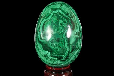 Stunning 36 Polished Malachite Egg Congo For Sale 113413