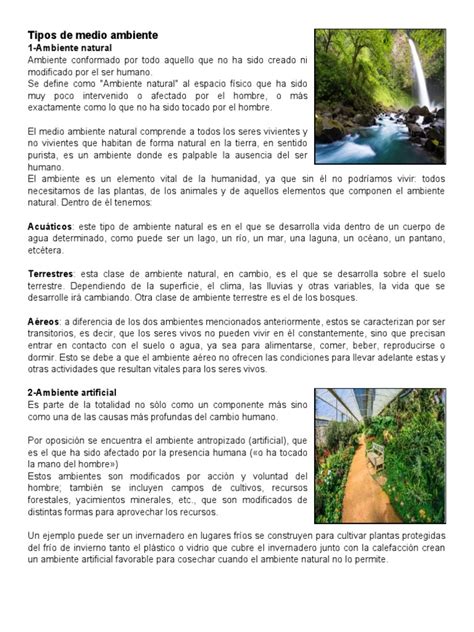 Tipos De Medio Ambiente Pdf Entorno Natural Educación De La