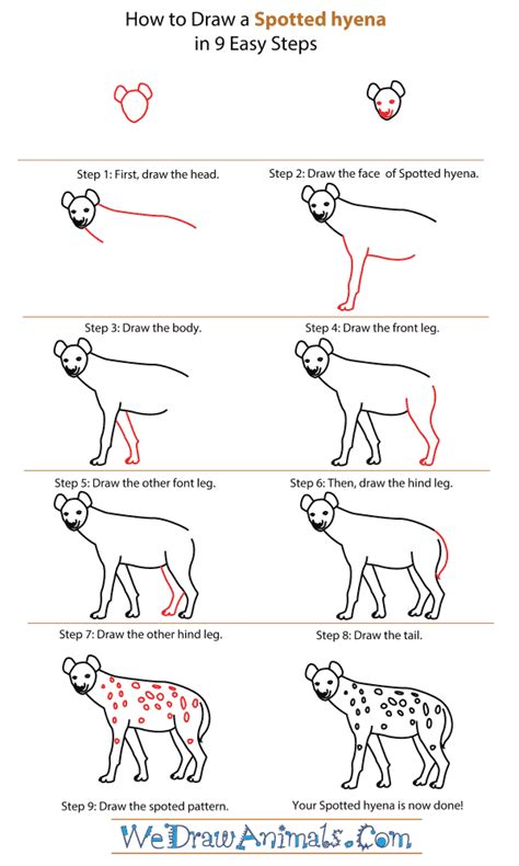 How To Draw A Spotted Hyena