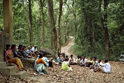 Assam Forest Dwellers Panic After Supreme Court Order Of Eviction The