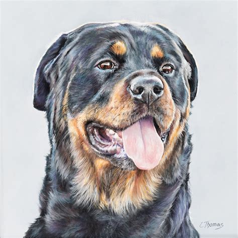 Rottweiler Portrait