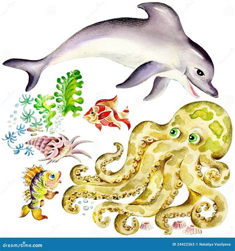 Dolphin And Octopus Stock Illustration Illustration Of Nature 24422363