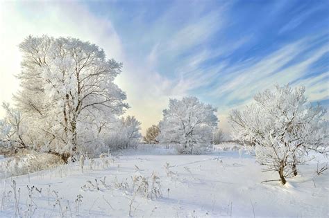 Winter Wonderland Winter Peace In Khabarovsk Far East Russia
