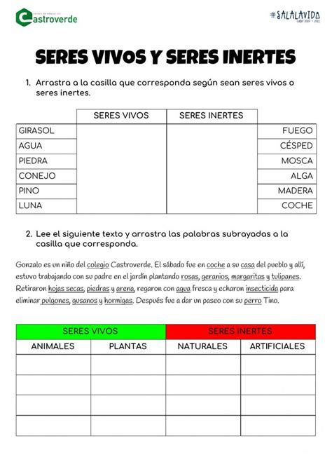 Ejercicio De Seres Vivos E Inertes Ce Castroverde En 2023 Seres