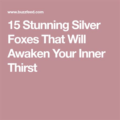 Stunning Silver Foxes That Will Awaken Your Inner Thirst Silver