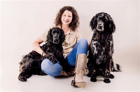 Ein hundebiss kann ein ganzes leben verändern. Tipps zum Einzug deines Tierschutzhundes - BHV Akademie