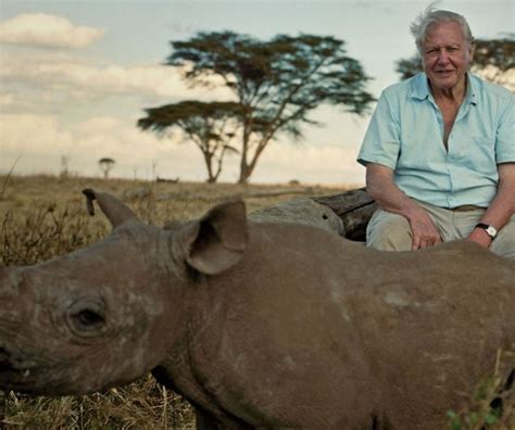 Life On Earth David Attenborough Episode 1 The Earth Images Revimageorg
