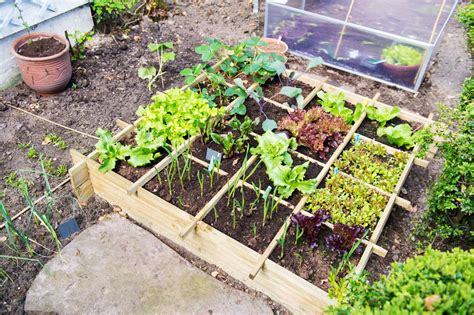 Designing A Garden Landscaping Tips For Beginners