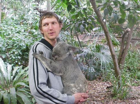 Holding A Koala Bear At Lone Pine Koala Sanctuaryqueenslandaustralia