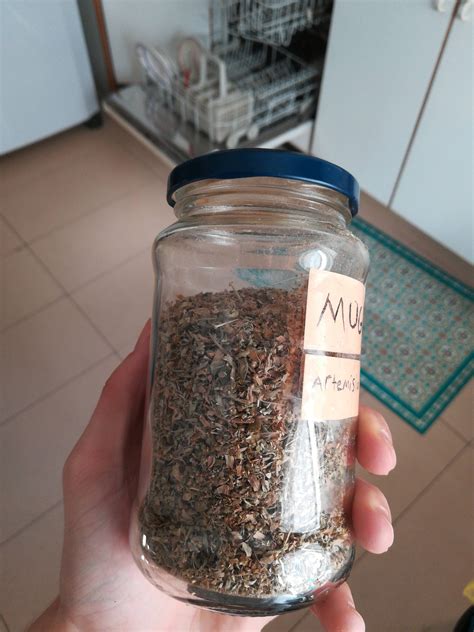 This boosts growth in children and helps to absorb nutrients from the food consumed. Smoking Mugwort? Experiences? : Drugs