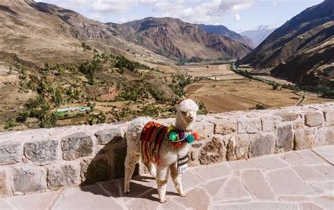 O Que Fazer Em Cusco No Peru Dicas E Passeios