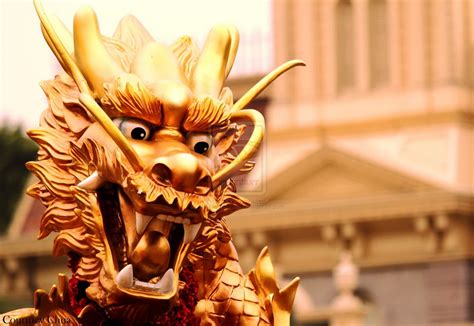 720x1280 Resolution Gold Colored Dragon Statue Chinese Dragon