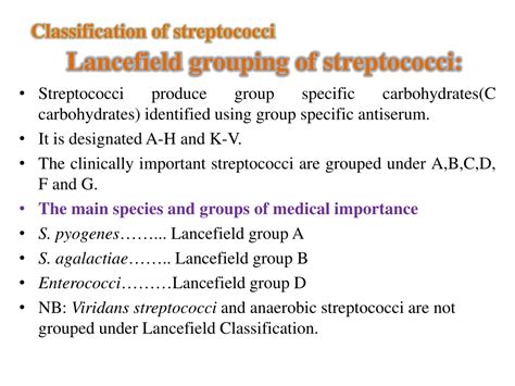 Ppt Gram Positive Cocci Streptococci Powerpoint Presentation Free Download Id 8875398