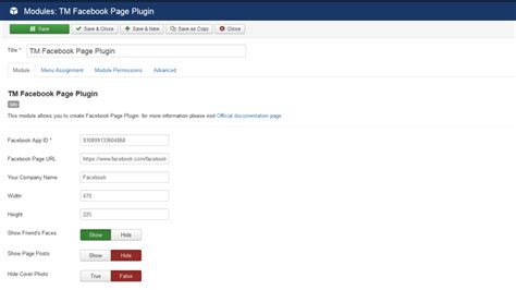 Click the create app id button. Joomla 3.x. How to manage "TM Facebook Page" module (based ...