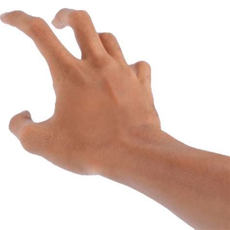 Hand Png Image Purepng Free Transparent Cc0 Png Image Library