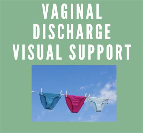 vaginal discharge on underwear visual — positive connections