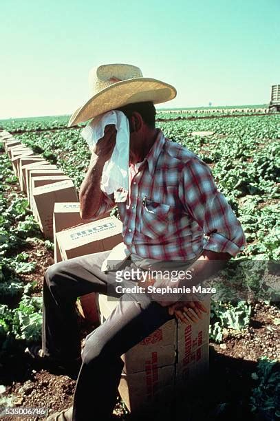 worker agricultural sweat photos and premium high res pictures getty images