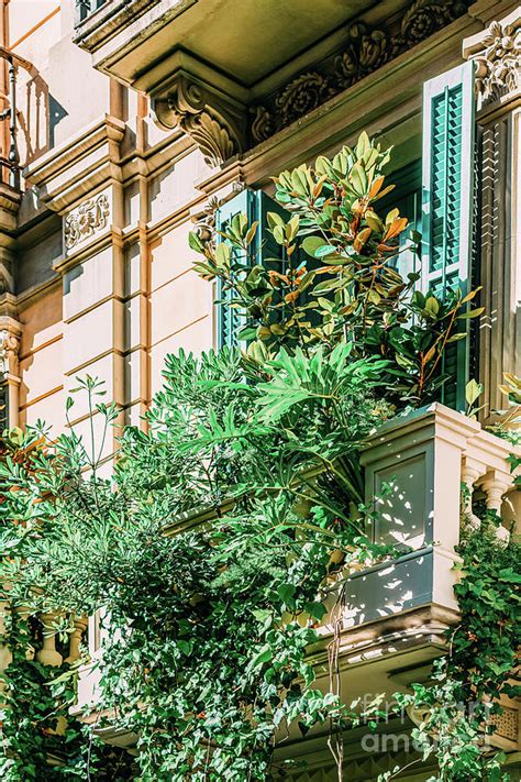 Barcelona City Print Green Lush Vegetation Balcony Vintage Facade