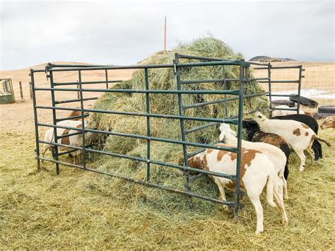 Diy Self Feeding Hay Feeder For Sheep Sage And Shepherd Blog