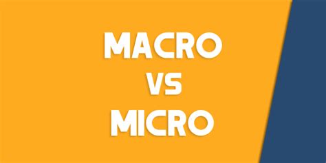 Macro Vs Micro How To Use Each Correctly Queens Ny English Society