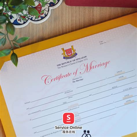 [using In China Mainland] Singapore Marriage Certificate Birth Certificate Immunization