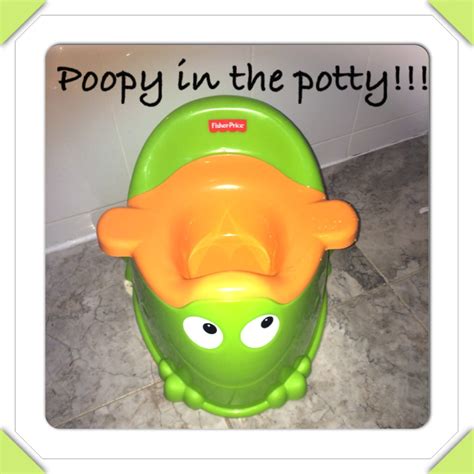 Poopy In The Potty Ladydeelg