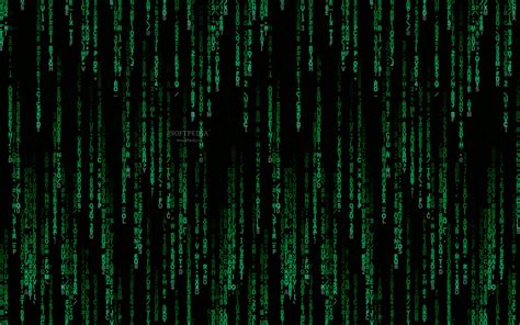 50 The Matrix Wallpaper And Screensaver Wallpapersafari