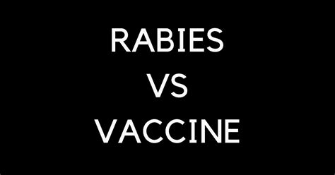 Rabies Vs Vaccine I Love Veterinary
